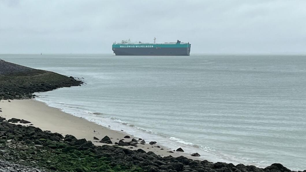 Schip op de Westerschelde