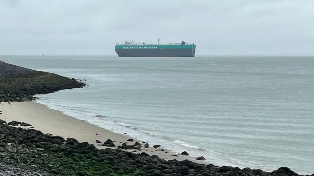 Schip op de Westerschelde 