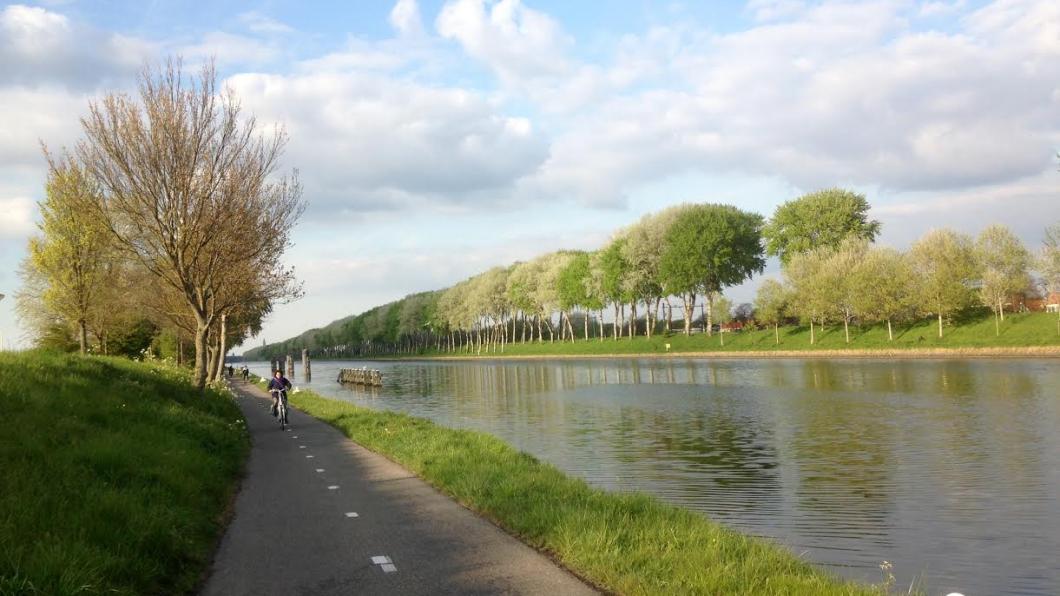 Vogeldijk 3.jpg