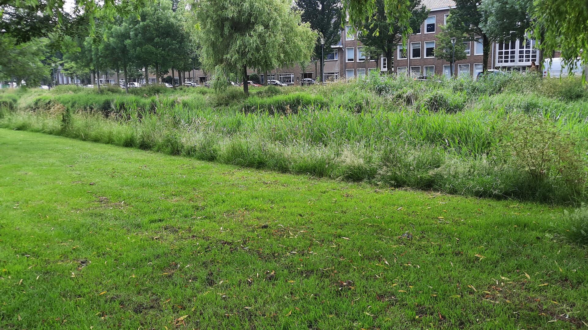 gemaaide grasstrook