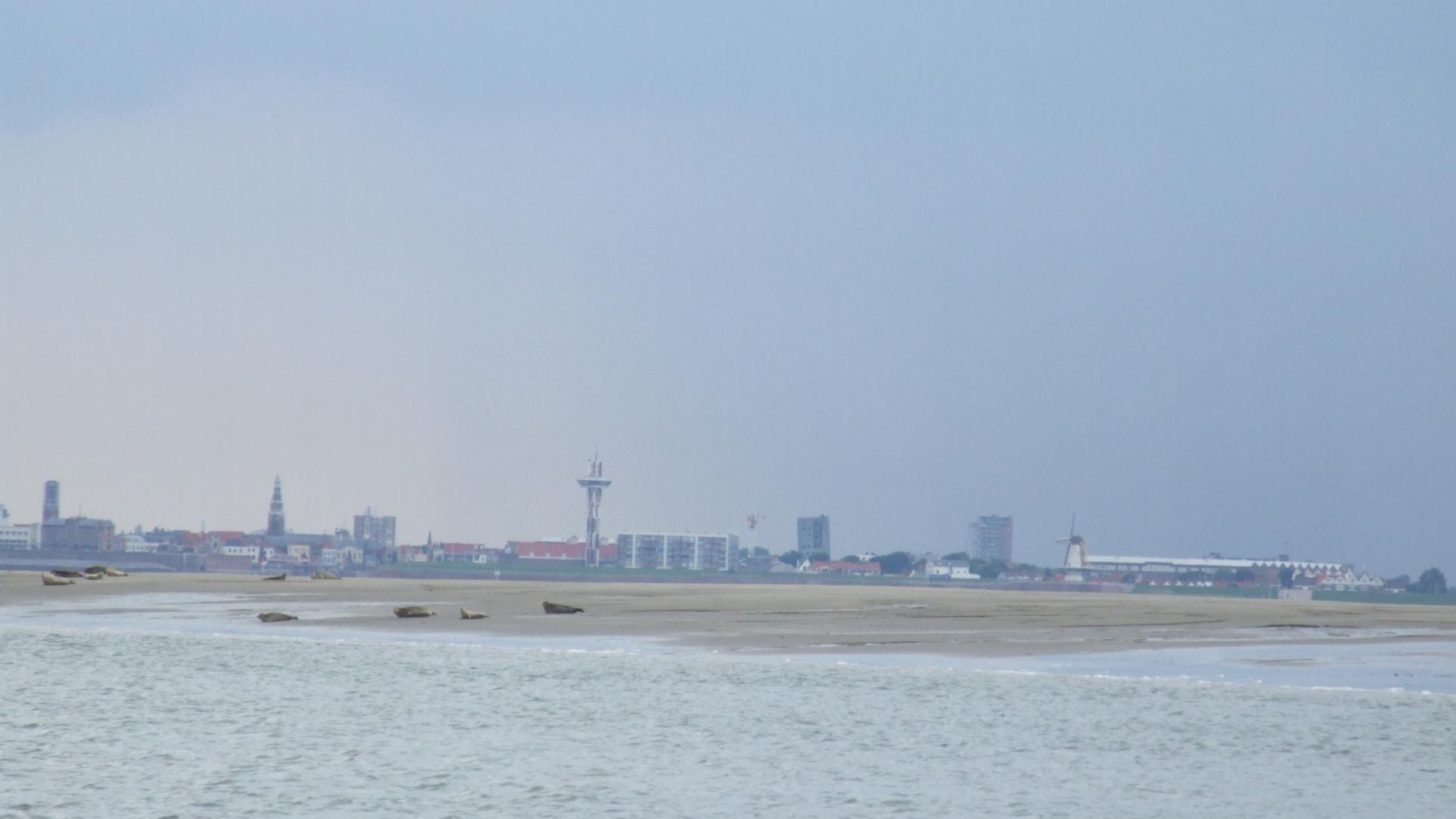 160616 Vaartocht Westerschelde (24).JPG