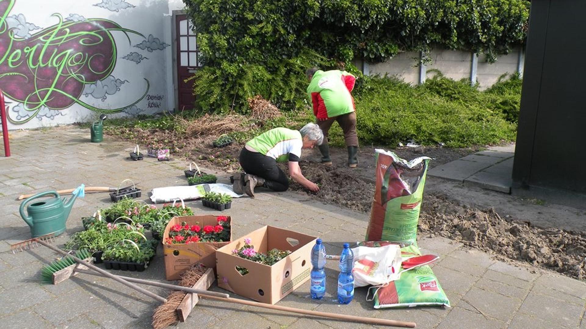 Guerilla Gardening Vlissingen