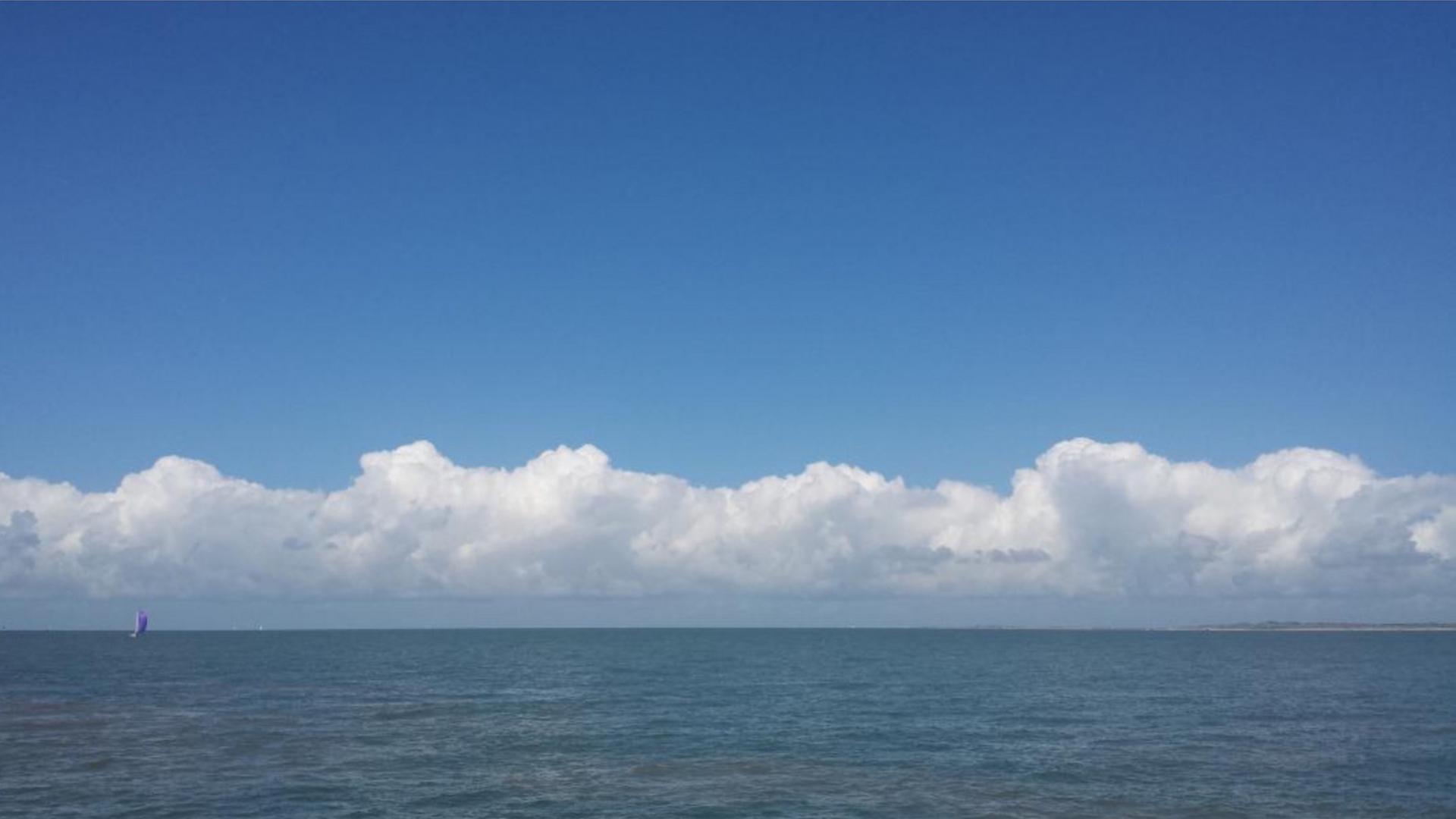 westerschelde water fotoGT.jpg