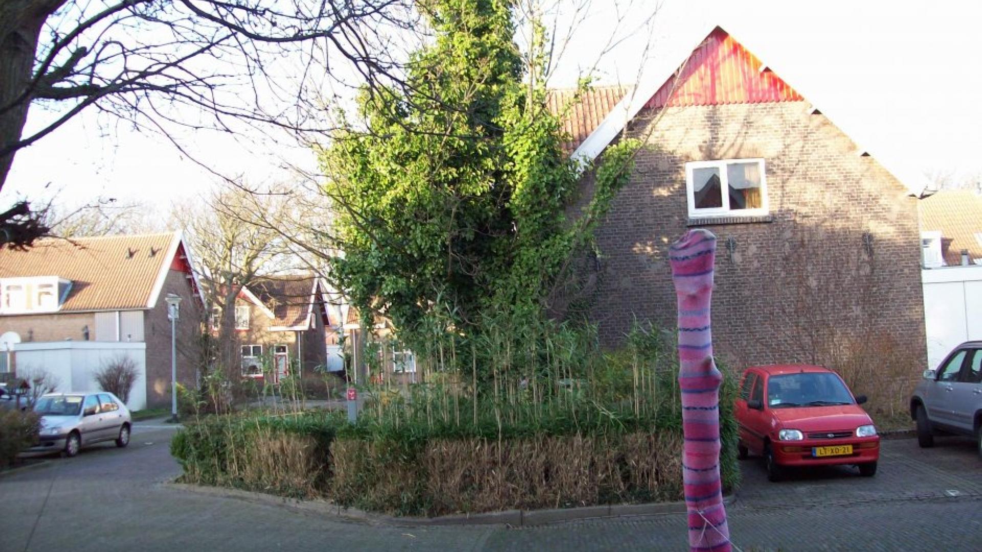 Rooie buurt.jpg